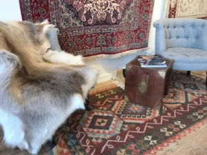طراحی داخلی اتاق ایرانی بلفاست (The Persian Room Belfast) در بلفاست — تصویر 9