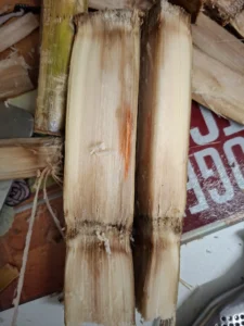 سوپرمارکت منچستر سوپر استور مارکت (Manchester Superstore) در منچستر — تصویر 10